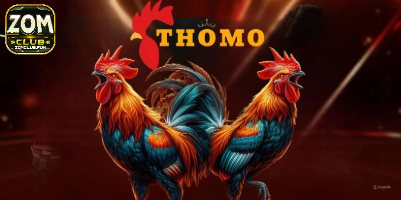 Tất tật tật về luật chơi của đá gà thomo